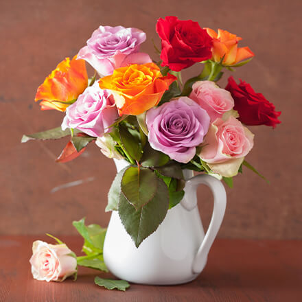 InterROSE Voucher Codes