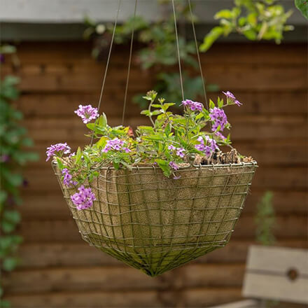 Crocus Voucher Codes