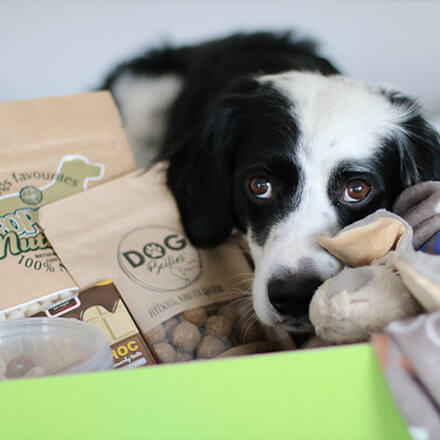 Schecker Gutscheincode