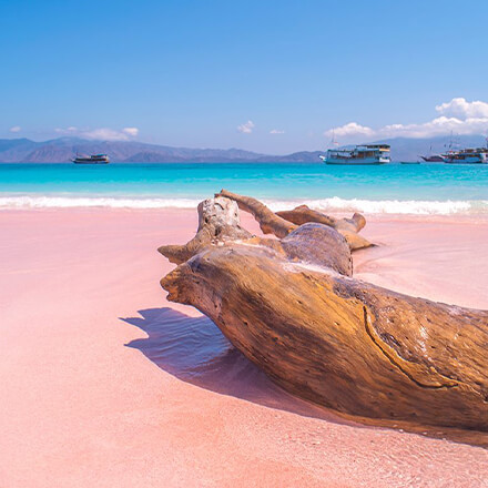 viajanet códigos promocionais