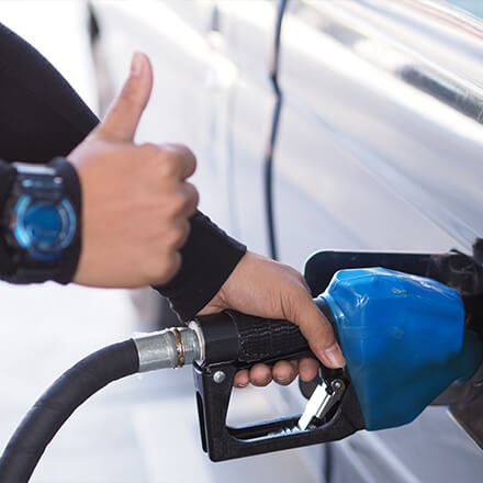 Shell Box códigos promocionais