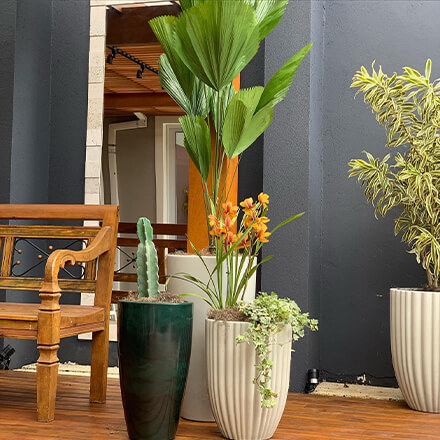 Vasart códigos promocionais